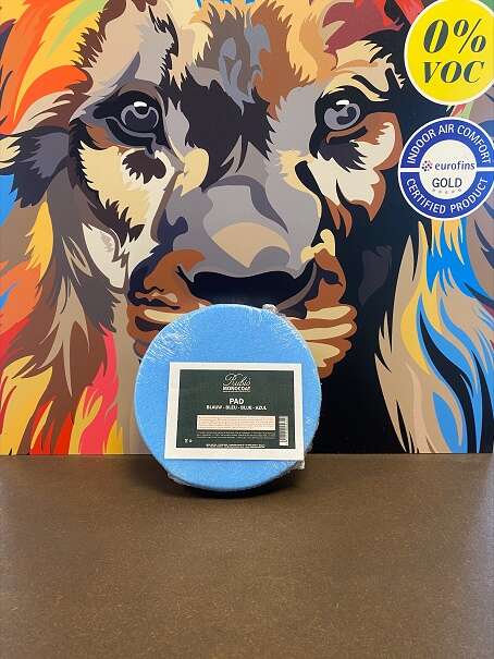 Image du produit RMC DISQUE MOUSSE POLISSAGE BLEU DIAM 5.9 inch (15X20MM)