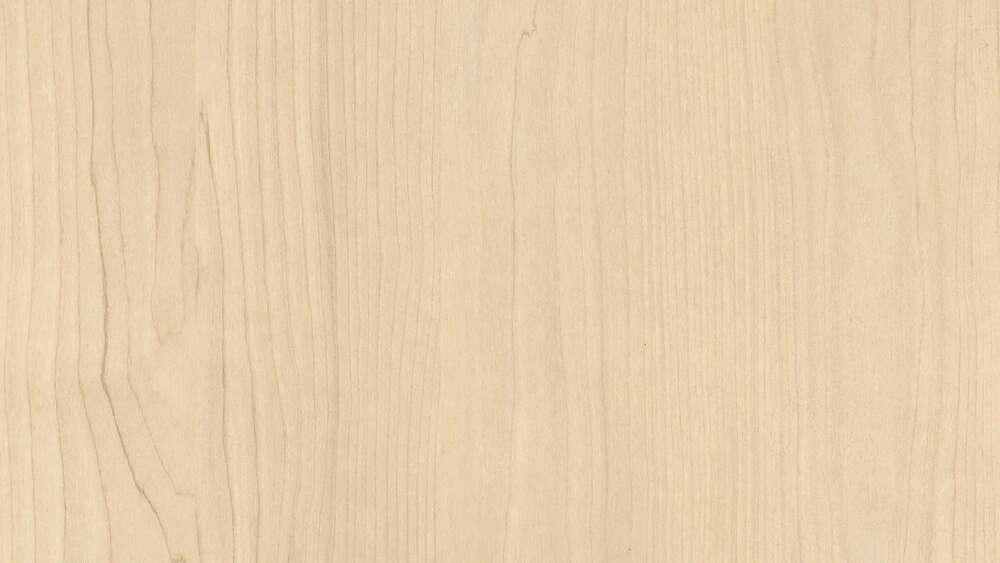 Image du produit MELA 19 mm H1732 Bouleau sable ST9 (4)