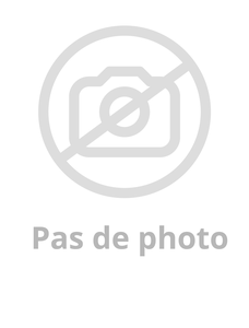 Image produit Boite de 100 vis inox 4.2x38 Argent + Embout réf 1449 p/6m²